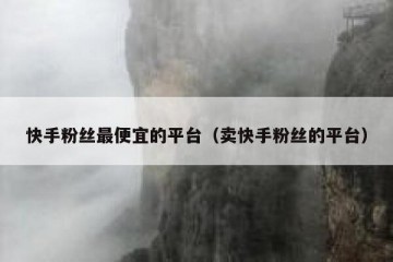快手粉丝最便宜的平台（卖快手粉丝的平台）