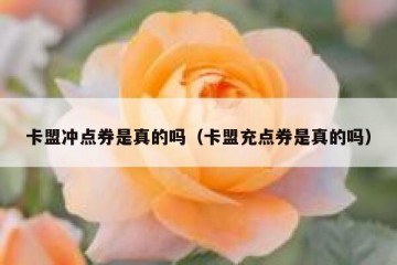卡盟冲点券是真的吗（卡盟充点券是真的吗）