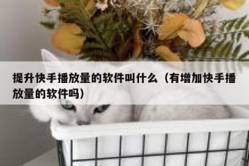 提升快手播放量的软件叫什么（有增加快手播放量的软件吗）