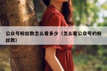 公众号粉丝数怎么看多少（怎么看公众号的粉丝数）