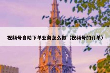 视频号自助下单业务怎么做（视频号的订单）
