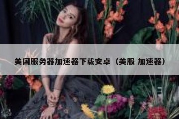 美国服务器加速器下载安卓（美服 加速器）