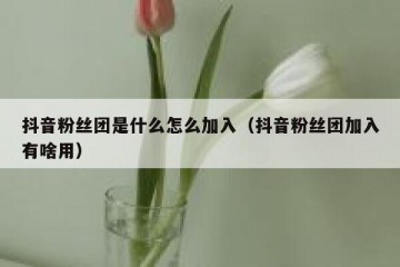 抖音粉丝团是什么怎么加入（抖音粉丝团加入有啥用）
