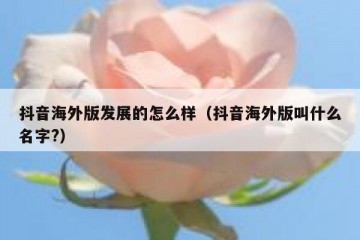 抖音海外版发展的怎么样（抖音海外版叫什么名字?）