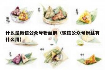 什么是微信公众号粉丝群（微信公众号粉丝有什么用）