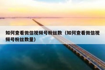 如何查看微信视频号粉丝数（如何查看微信视频号粉丝数量）