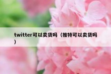twitter可以卖货吗（推特可以卖货吗）