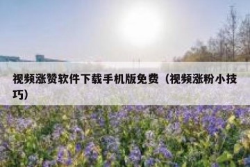 视频涨赞软件下载手机版免费（视频涨粉小技巧）