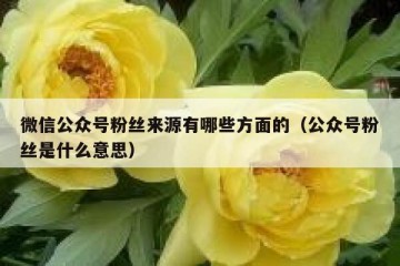 微信公众号粉丝来源有哪些方面的（公众号粉丝是什么意思）