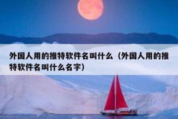 外国人用的推特软件名叫什么（外国人用的推特软件名叫什么名字）