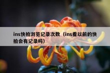 ins快拍浏览记录次数（ins看以前的快拍会有记录吗）