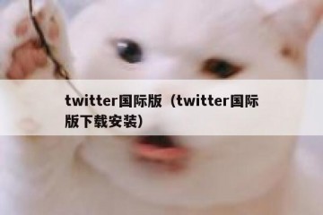 twitter国际版（twitter国际版下载安装）