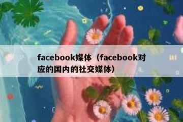 facebook媒体（facebook对应的国内的社交媒体）
