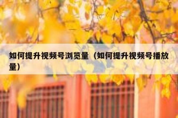 如何提升视频号浏览量（如何提升视频号播放量）
