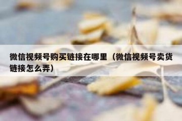 微信视频号购买链接在哪里（微信视频号卖货链接怎么弄）