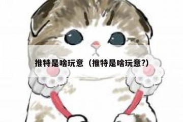 推特是啥玩意（推特是啥玩意?）