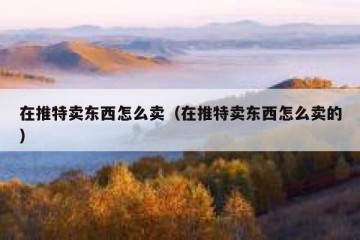 在推特卖东西怎么卖（在推特卖东西怎么卖的）