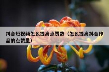 抖音短视频怎么提高点赞数（怎么提高抖音作品的点赞量）