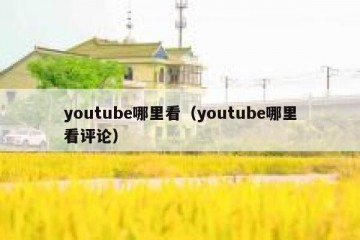 youtube哪里看（youtube哪里看评论）