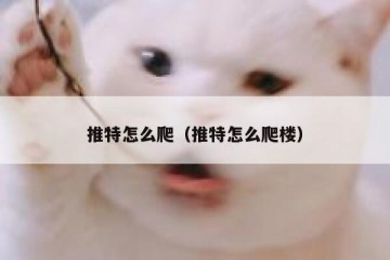 推特怎么爬（推特怎么爬楼）