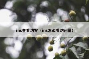 ins查看访客（ins怎么看访问量）