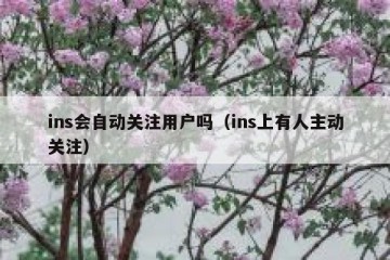 ins会自动关注用户吗（ins上有人主动关注）
