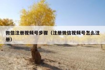 微信注册视频号步骤（注册微信视频号怎么注册）
