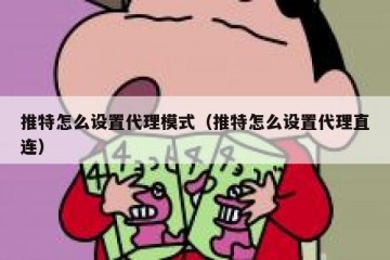 推特怎么设置代理模式（推特怎么设置代理直连）