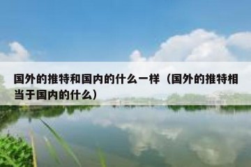 国外的推特和国内的什么一样（国外的推特相当于国内的什么）