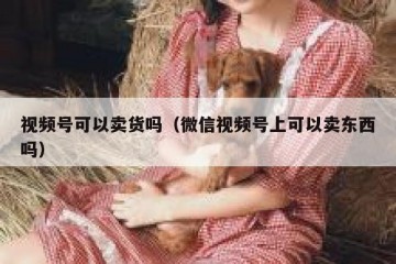 视频号可以卖货吗（微信视频号上可以卖东西吗）