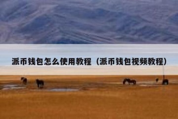 派币钱包怎么使用教程（派币钱包视频教程）