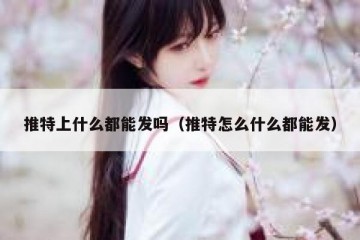 推特上什么都能发吗（推特怎么什么都能发）