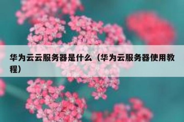 华为云云服务器是什么（华为云服务器使用教程）