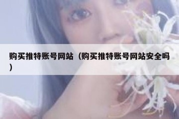 购买推特账号网站（购买推特账号网站安全吗）