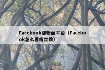 Facebook涨粉丝平台（Facebook怎么看粉丝数）