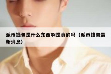派币钱包是什么东西啊是真的吗（派币钱包最新消息）