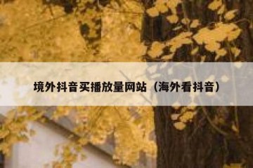 境外抖音买播放量网站（海外看抖音）
