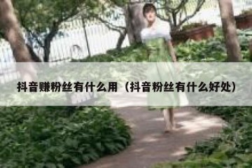 抖音赚粉丝有什么用（抖音粉丝有什么好处）