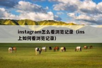 instagram怎么看浏览记录（ins上如何看浏览记录）