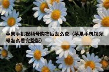 苹果手机视频号购物后怎么查（苹果手机视频号怎么看完整版）