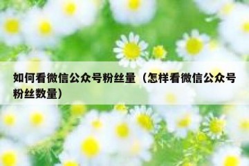 如何看微信公众号粉丝量（怎样看微信公众号粉丝数量）