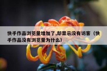 快手作品浏览量增加了,却显示没有访客（快手作品没有浏览量为什么）
