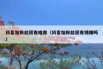 抖音加粉丝团有啥用（抖音加粉丝团有钱赚吗）