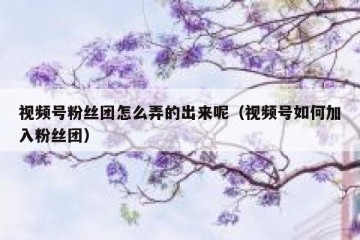 视频号粉丝团怎么弄的出来呢（视频号如何加入粉丝团）
