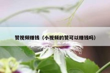 赞视频赚钱（小视频的赞可以赚钱吗）