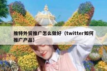 推特外贸推广怎么做好（twitter如何推广产品）
