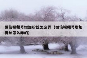 微信视频号增加粉丝怎么弄（微信视频号增加粉丝怎么弄的）
