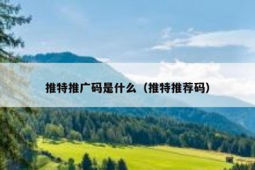 推特推广码是什么（推特推荐码）