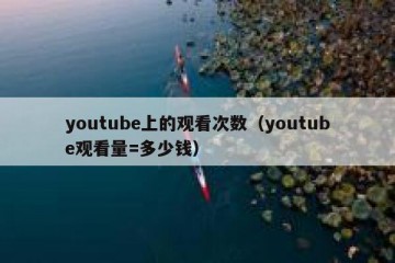 youtube上的观看次数（youtube观看量=多少钱）