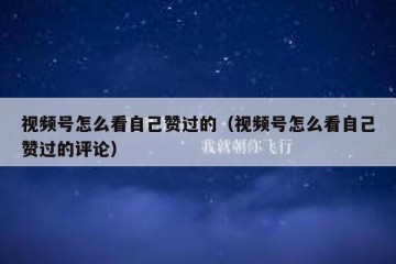 视频号怎么看自己赞过的（视频号怎么看自己赞过的评论）